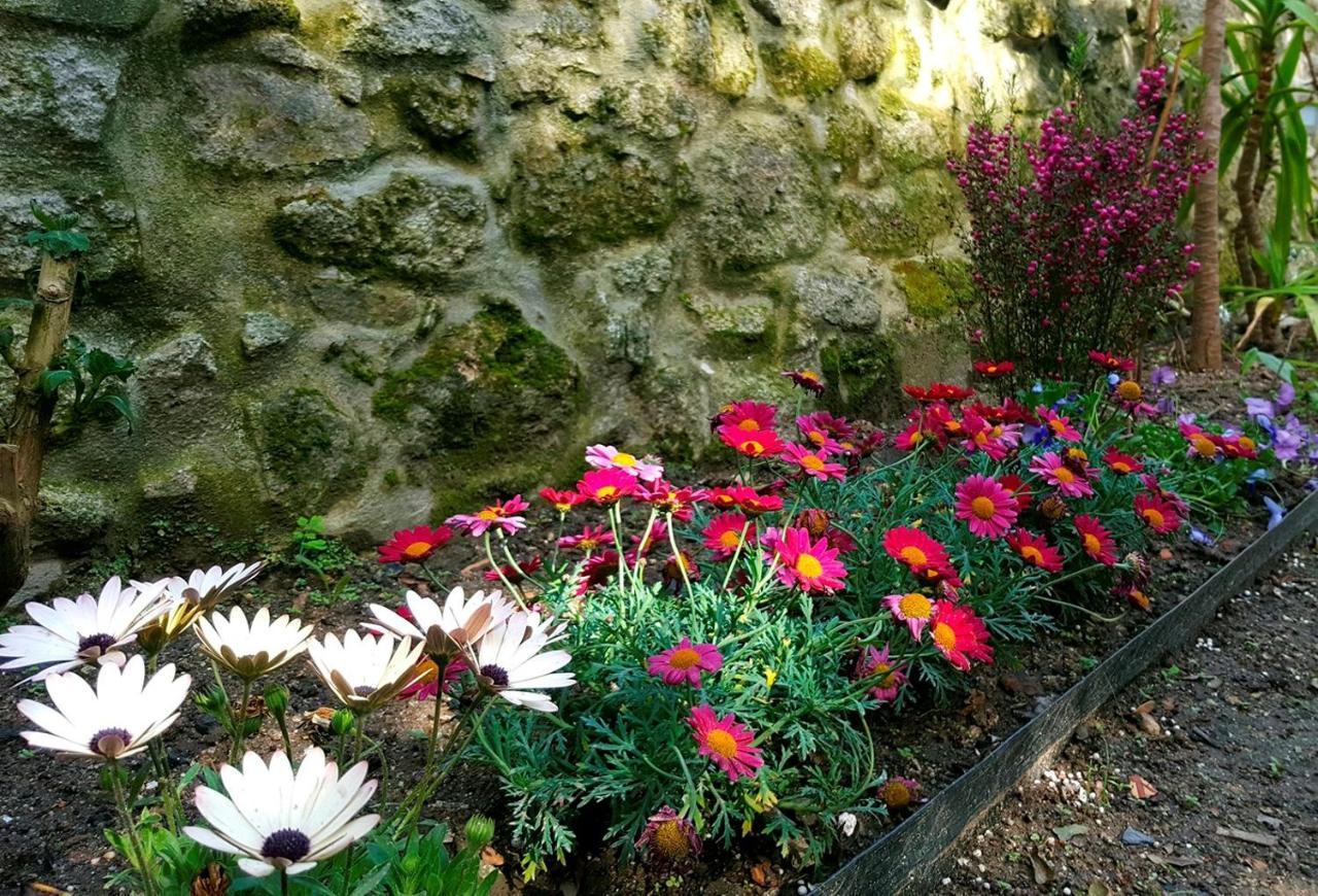 Boavista Charming Apartment With Garden By Great&Cosy OOporto Esterno foto